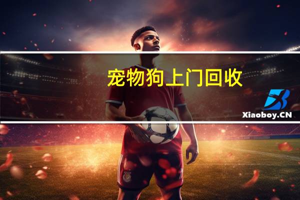 宠物狗上门回收