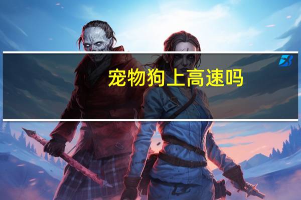宠物狗上高速吗