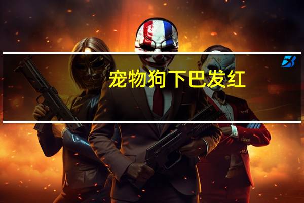 宠物狗下巴发红