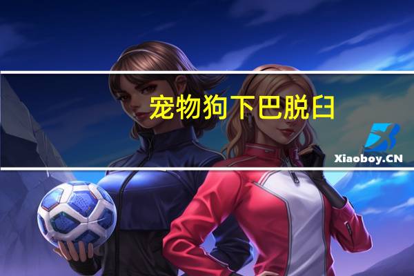 宠物狗下巴脱臼