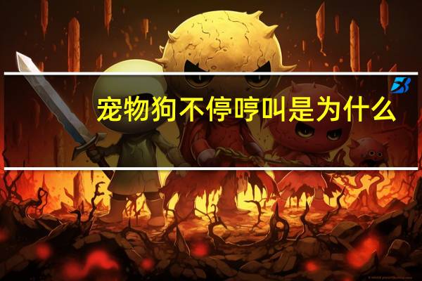 宠物狗不停哼叫是为什么