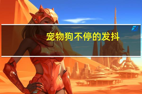 宠物狗不停的发抖