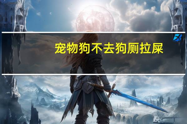宠物狗不去狗厕拉屎