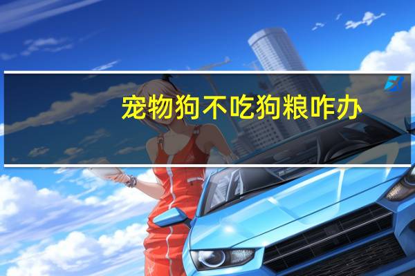 宠物狗不吃狗粮咋办