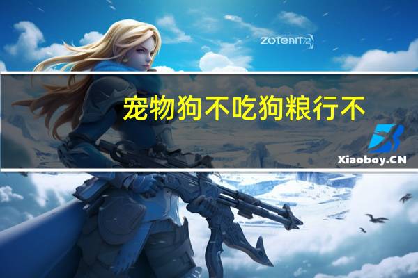 宠物狗不吃狗粮行不