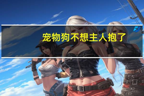 宠物狗不想主人抱了