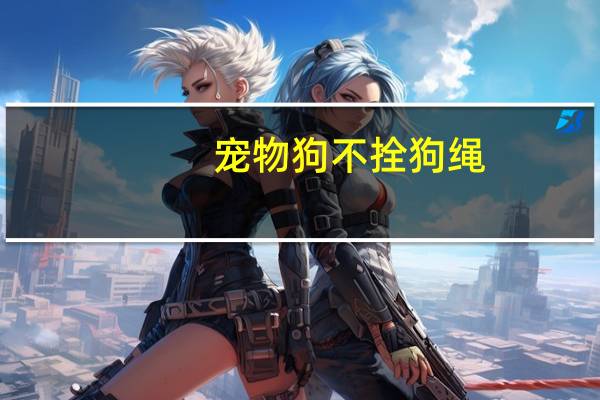宠物狗不拴狗绳