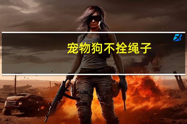 宠物狗不拴绳子