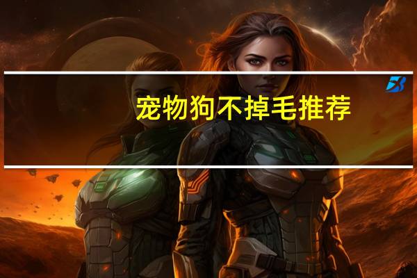 宠物狗不掉毛推荐