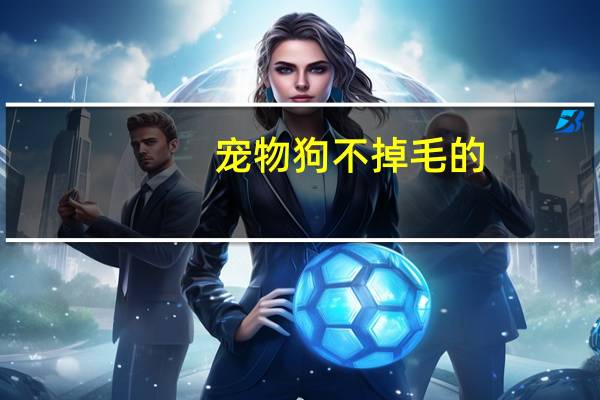 宠物狗不掉毛的