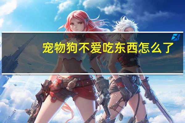 宠物狗不爱吃东西怎么了