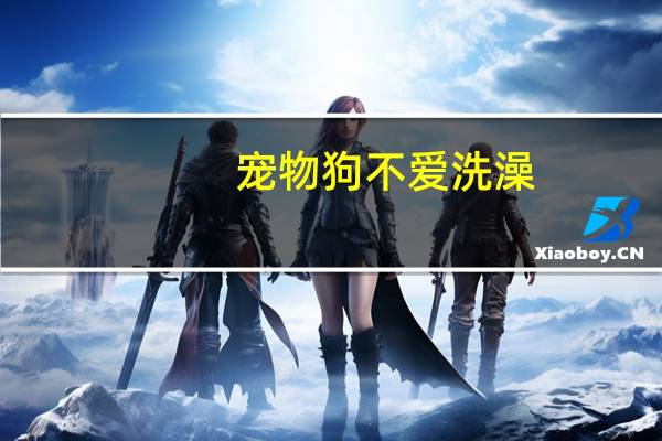 宠物狗不爱洗澡