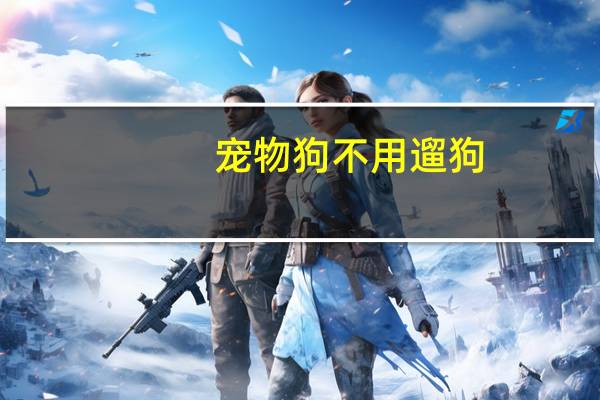 宠物狗不用遛狗
