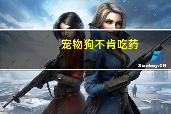 宠物狗不肯吃药