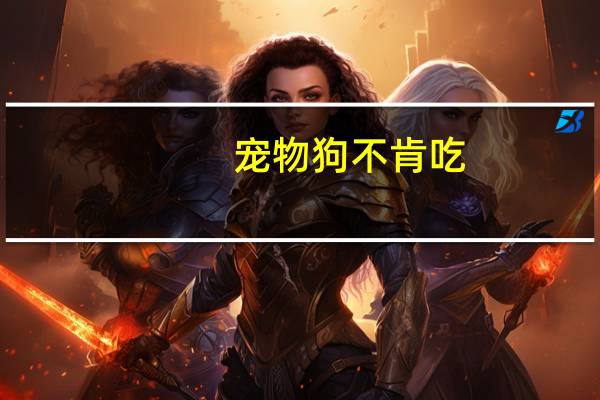 宠物狗不肯吃