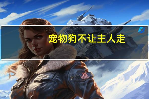 宠物狗不让主人走