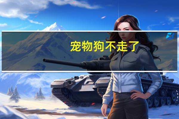 宠物狗不走了