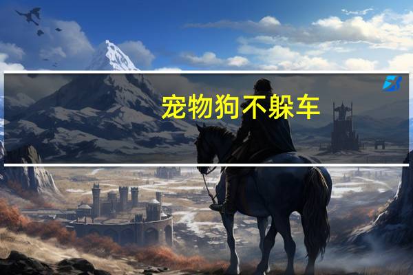 宠物狗不躲车