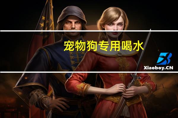 宠物狗专用喝水