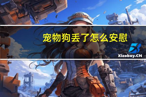 宠物狗丢了怎么安慰