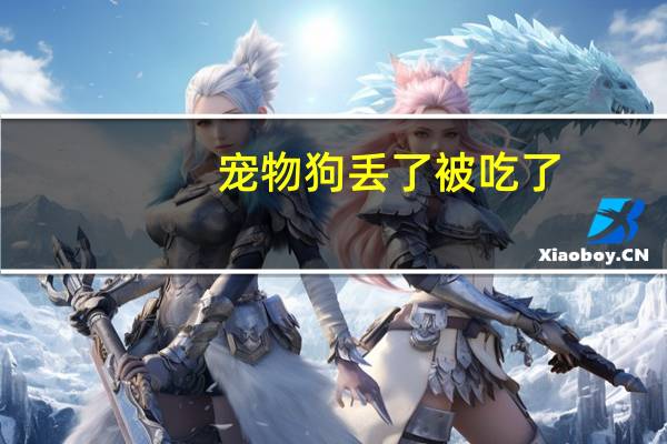 宠物狗丢了被吃了