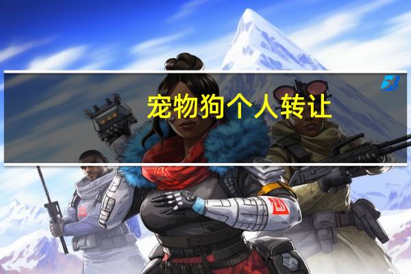 宠物狗个人转让