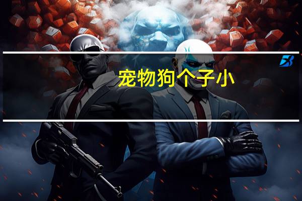 宠物狗个子小
