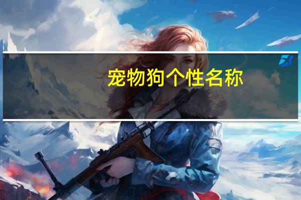 宠物狗个性名称