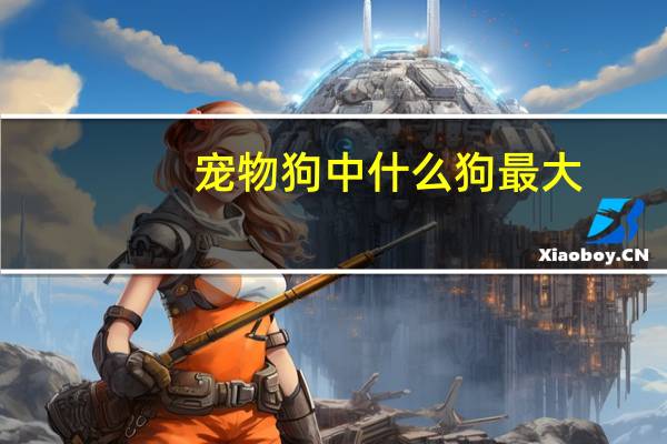 宠物狗中什么狗最大