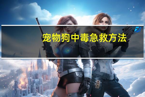 宠物狗中毒急救方法