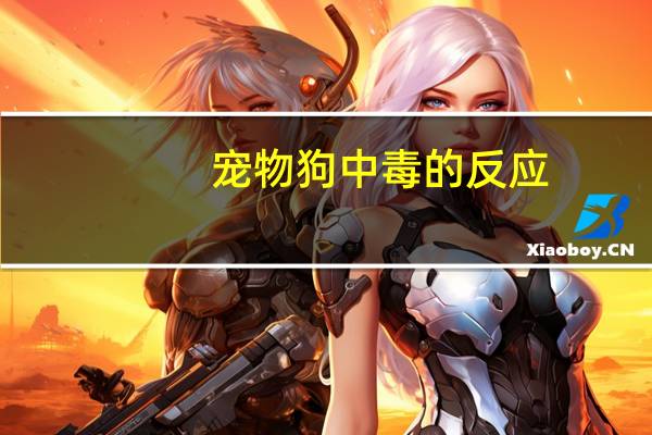 宠物狗中毒的反应