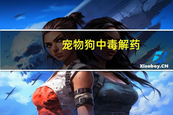 宠物狗中毒解药