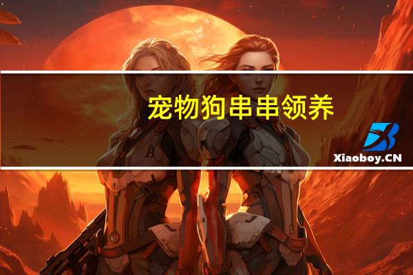 宠物狗串串领养