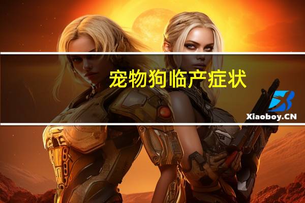 宠物狗临产症状
