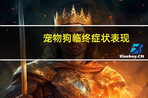 宠物狗临终症状表现