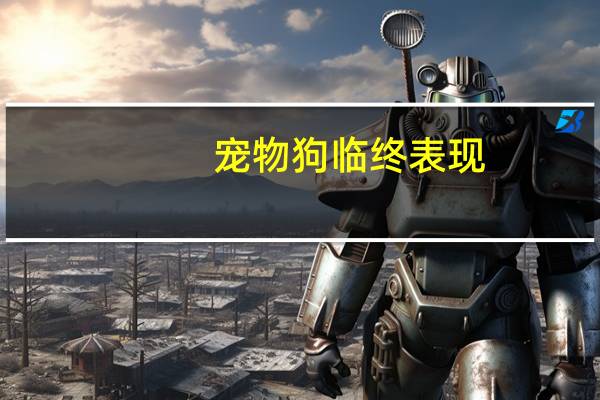 宠物狗临终表现