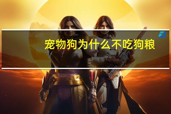 宠物狗为什么不吃狗粮