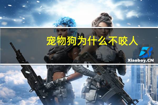 宠物狗为什么不咬人