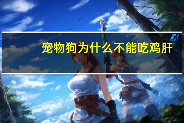 宠物狗为什么不能吃鸡肝