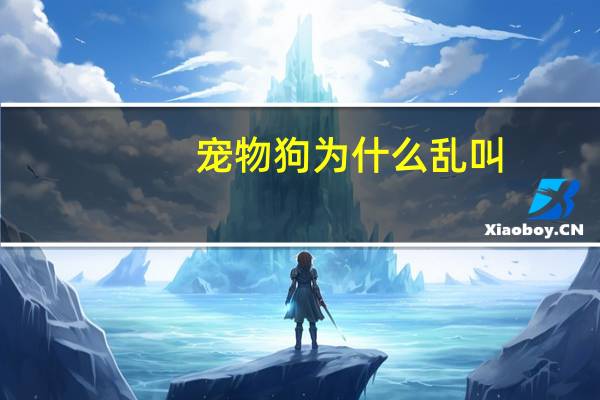 宠物狗为什么乱叫