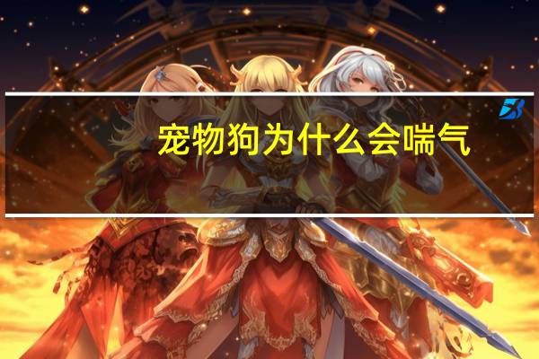 宠物狗为什么会喘气