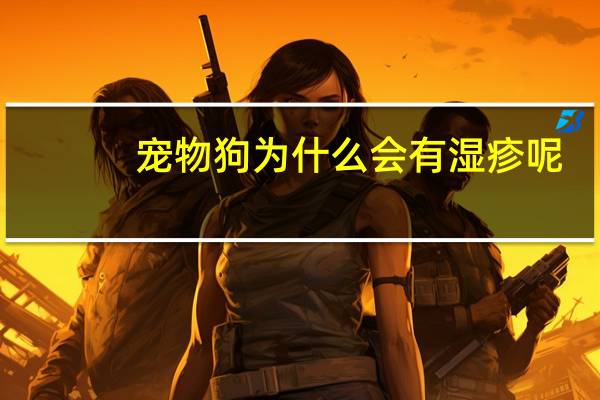 宠物狗为什么会有湿疹呢