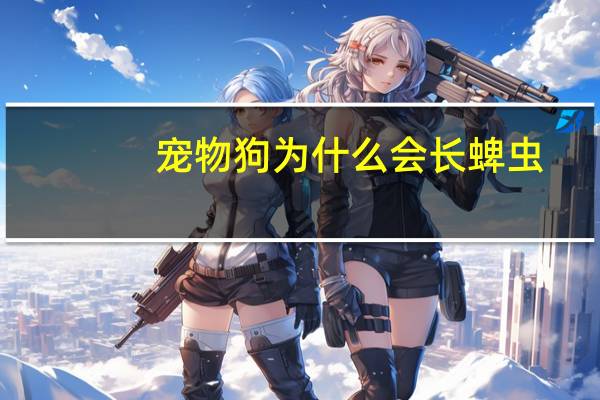 宠物狗为什么会长蜱虫