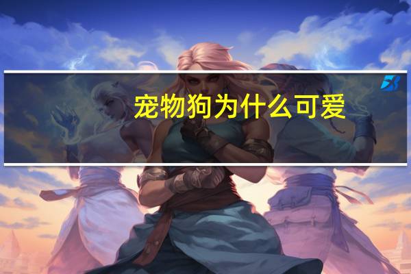 宠物狗为什么可爱
