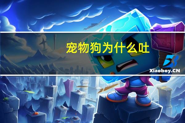 宠物狗为什么吐