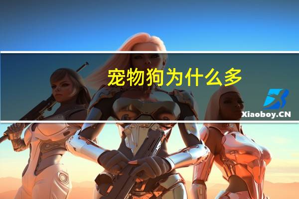 宠物狗为什么多