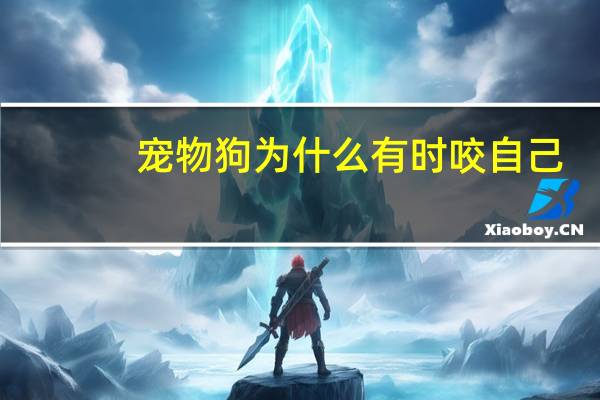 宠物狗为什么有时咬自己