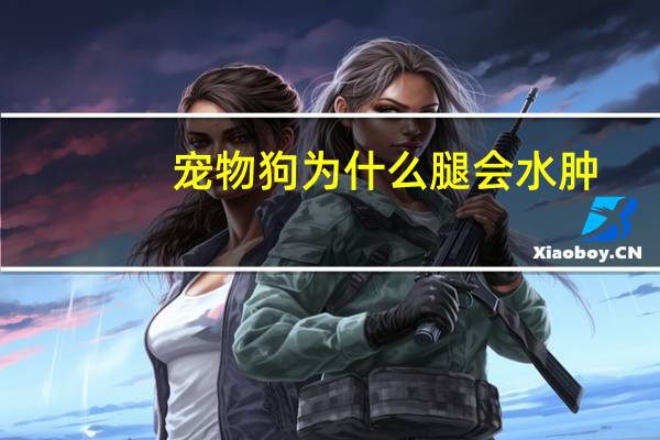 宠物狗为什么腿会水肿