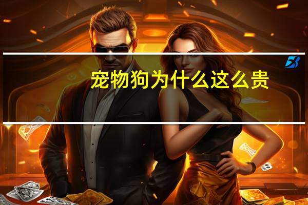 宠物狗为什么这么贵