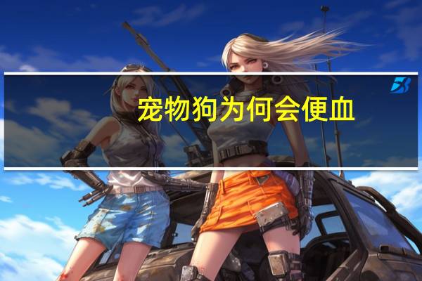 宠物狗为何会便血